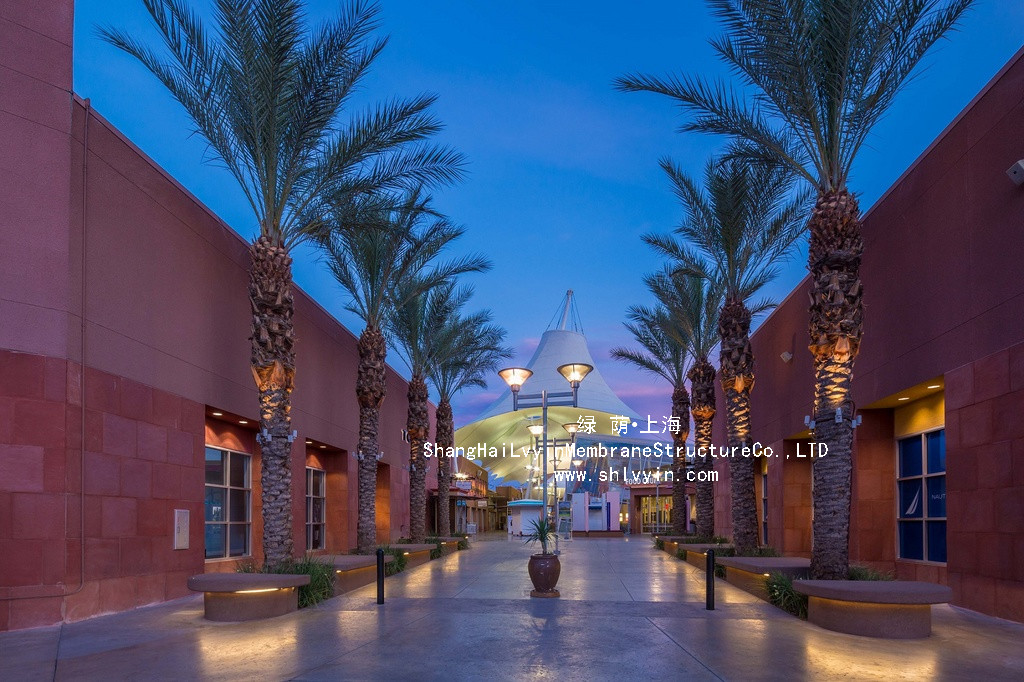 1503541046184219.jpg 20 (6).jpg